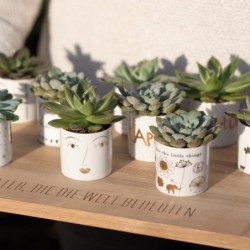 Räder Helle Freude Glücksbringer