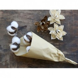 Fleur getrocknete Baumwoll Blume