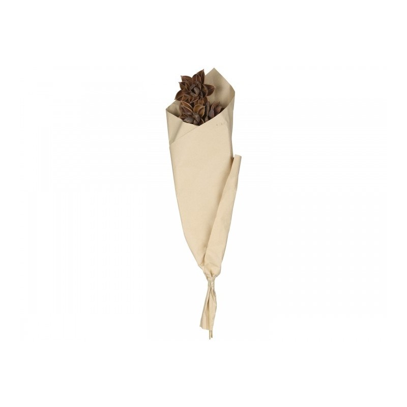 Fleur getrocknete Dahlie Blumen