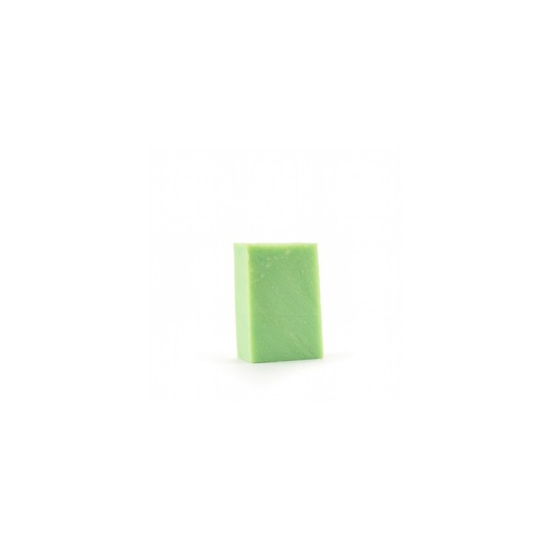 Walde Seife 100g handg. Aloe Vera