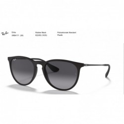 Ray Ban Sonnenbrille ERIKA CLASSIC
