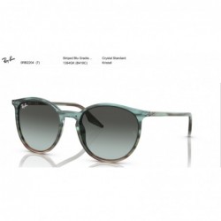 Ray Ban Sonnenbrille RB2204