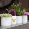 Räder Love Lichter 4er Set