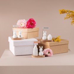 Räder Ostern  Hasengruß Frühling